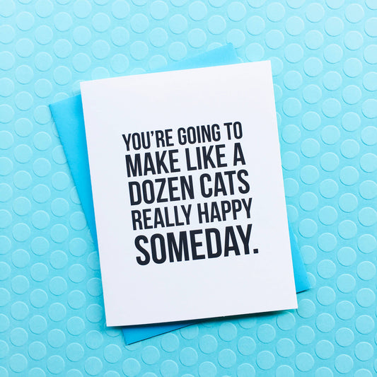 "A Dozen Cats" Funny Card